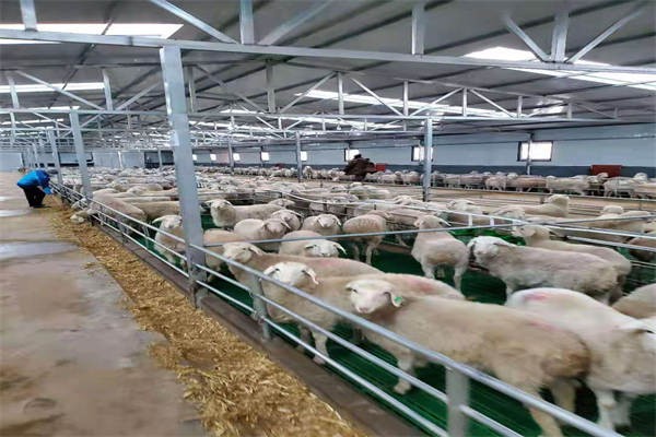 養(yǎng)殖場消泡劑應用場景圖