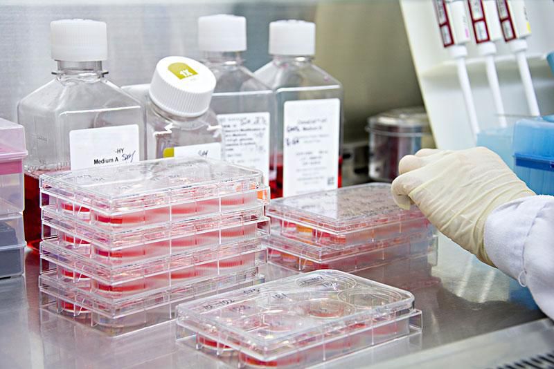 細(xì)胞培養(yǎng)消泡劑應(yīng)用場(chǎng)景圖