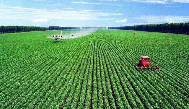 葉面肥泡沫多怎么辦？可以使用葉面肥消泡劑