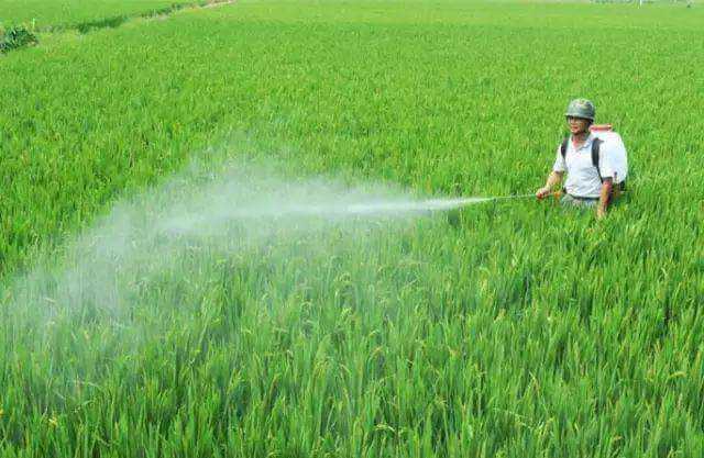 農(nóng)藥乳化劑用農(nóng)藥乳化劑起泡原因分析，泡沫過多怎么解決？泡劑